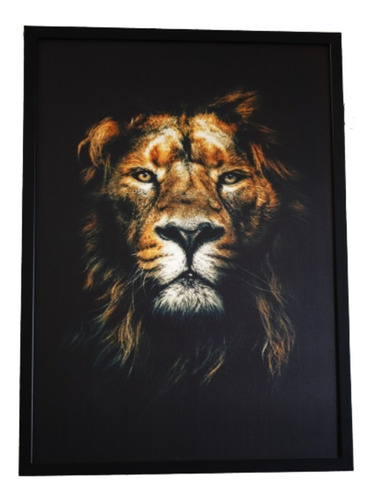 Cuadro Decorativo León 50x70cm Marco Negro - Berna Home