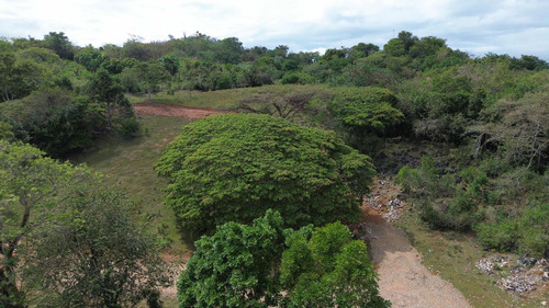 Vendo Solares En Este Proyecto En Samana 500 Metros Adelante