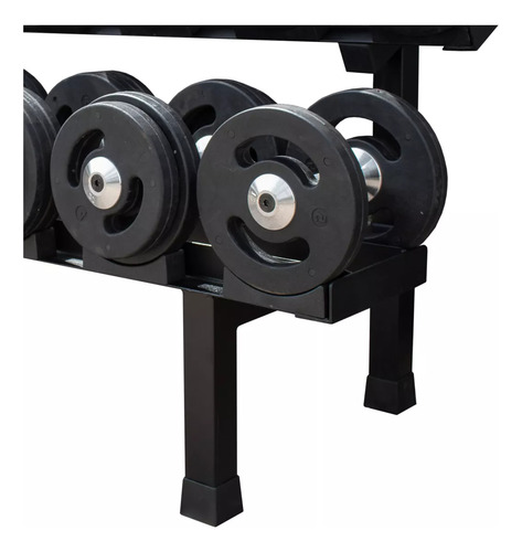 Dumbell Injetado Par 12 A 30 Kg Com Suporte