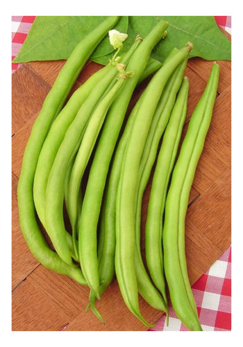 Feijão Vagem Macarrão Trepador Favorito - 10gr De Sementes