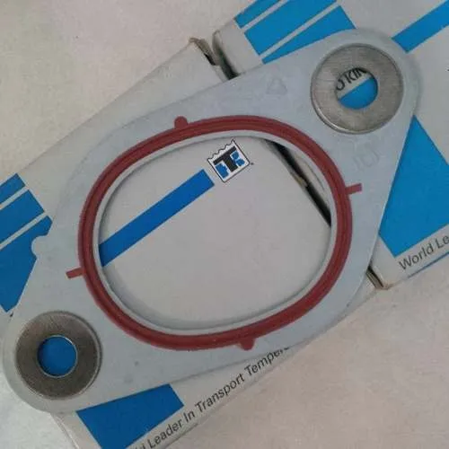 Thermo King Empacadura Lamina