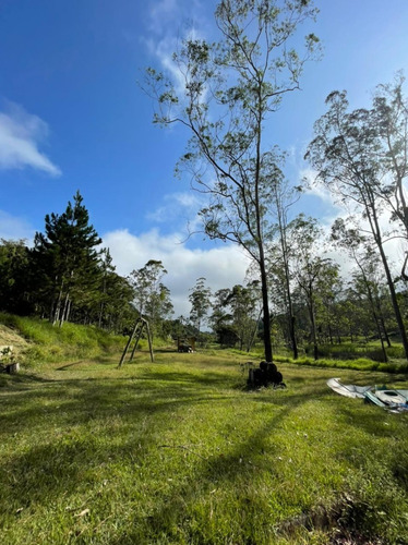 Imagem 11 de 30 de Sitio Em Itapeti Mogi Das Cruzes - Rico Em Água - Cinematográfico