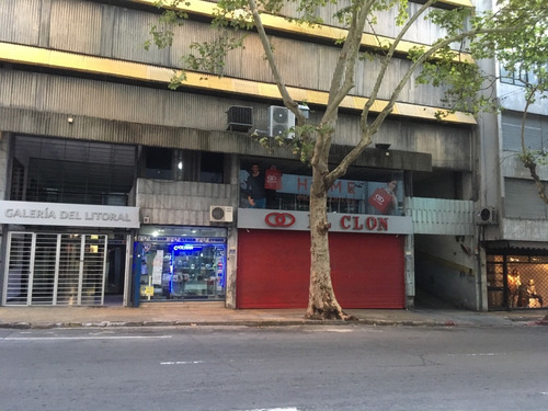 Imagen 4 de 6 de Cochera En El Centro