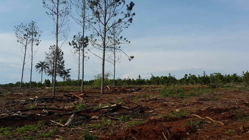 Terrenos En Campo Grande Misiones Desde 250m2 En Cuotas