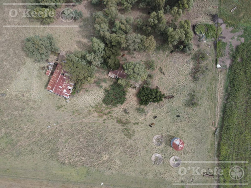 Imagen 2 de 20 de Campo De 155 Has En Venta En Benito Juarez - 100 % Agrícola