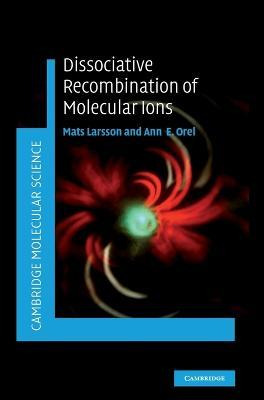 Libro Dissociative Recombination Of Molecular Ions - Mats...