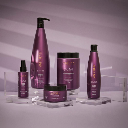 Aneethun No Frizz Shampoo Defrizante 300ml
