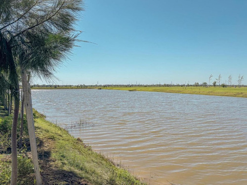 Venta Lote Vida Club De Campo Fondo Al Reservorio