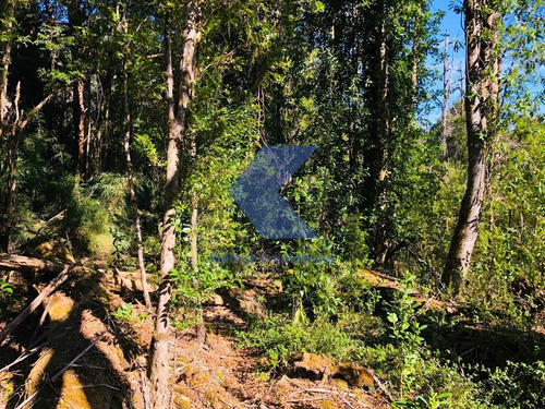 Terreno En Venta En Cisnes