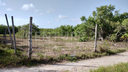 Venta Lote Para Desarrollar Hotel En El Corazon De La Isla Holbox P4068