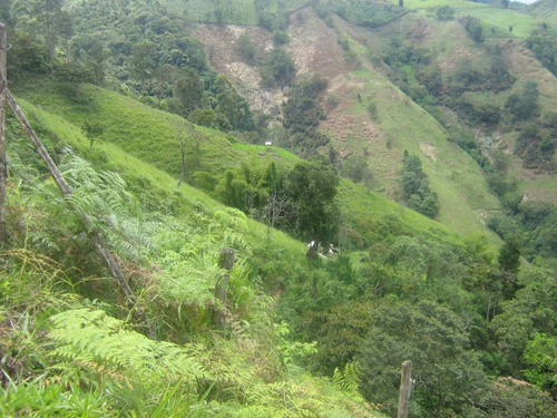 Finca En Vender En Dabeiba