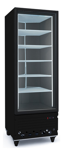 Freezer Exhibidor Vertical Teora 600 Bte Baja Temperatura