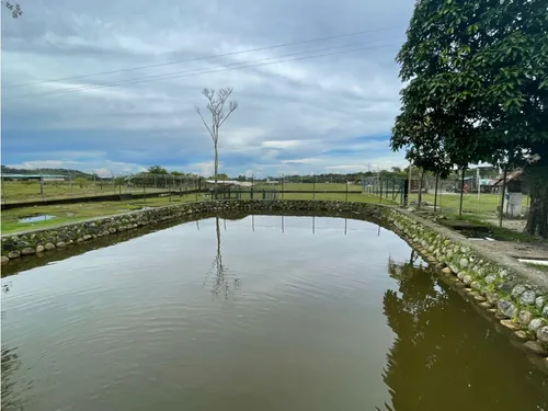 Vendo Gran Finca En Guamal Meta