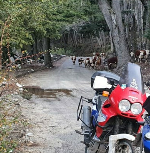 Honda Africa Twin Xrv