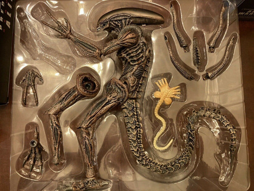 Hot Toys Sideshow Avp Alien Warrior Figure Special Edition (Usado)