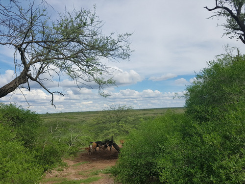 Finca En J. V Gonzalez, Anta