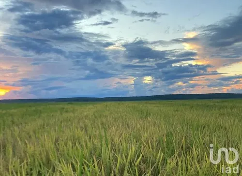 Venta Terreno 0 Ambiente Ojo De Agua