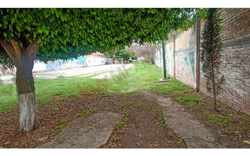 Departamento En Renta En Planta Baja , 3 Recámaras En Torres De Coyoacán.