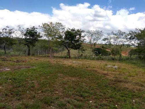 Imagen 23 de 30 de Jose Lopez Ofrece Finca ( Granja Avícola / Agrícola ) En Venta Vía A Duaca Caserio Guayabal Cordero Lara, Venezuela ,j G L Rent - A - House Telf. 0414-5533925 Cod # 22-16836 $ 15000