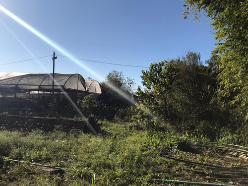Imagem 6 de 10 de Chácara À Venda, 5000 M² Por R$ 750.000,00 - Jardim São Roque Iii - Foz Do Iguaçu/pr - Ch0007