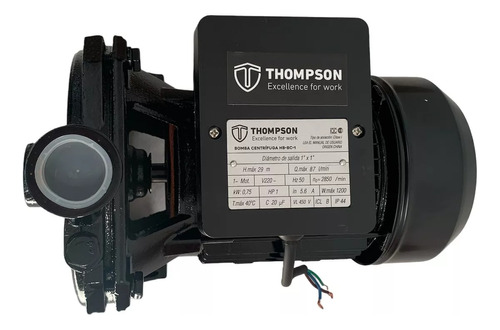 Bomba Centrífuga Thompson 1hp- 87 L/m Thbc1