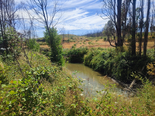 Venta De Terreno Agricola En Santa Juana