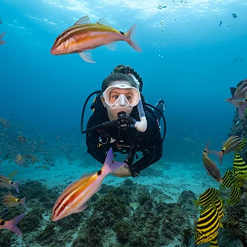 Tusa M-1010 Máscara De Buceo Zensee, Gunmetal