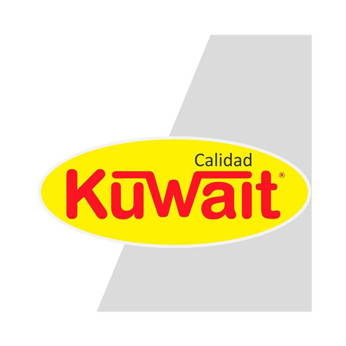 Espuma Poliuretano Expandido Aerosol 500ml Kuwait Pintumm