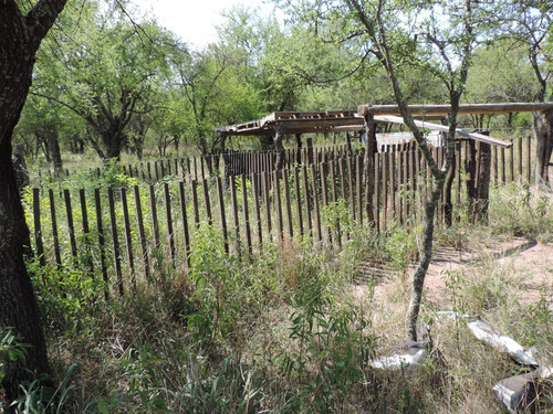 Oportunidad !!! Campo Productivo, Cría Y Siembra - 65 Has En San Pedro, Cba.