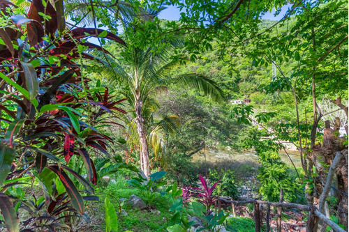 Imagen 9 de 13 de Lote Rio