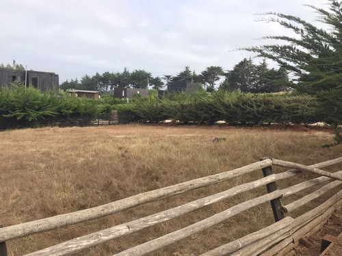 Sitio En Condominio / Punta De Lobos (68194)