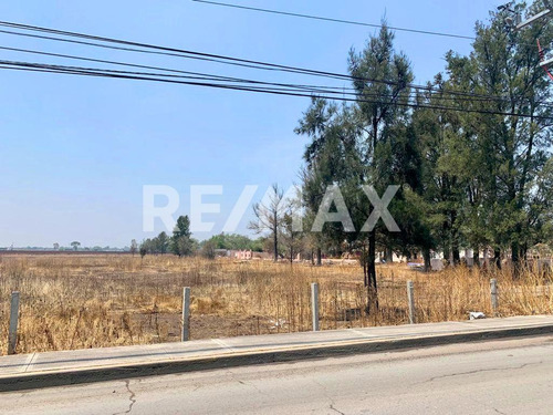 Terreno / Rancho Venta Zumpango