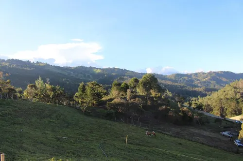 Finca En Venta En Vereda San José. Cod V12871