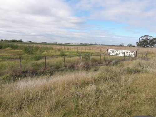 Imagen 5 de 5 de Venta De Campos En Saladillo.