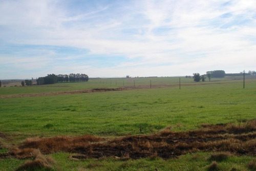 Campo En Venta En Garzón Rural