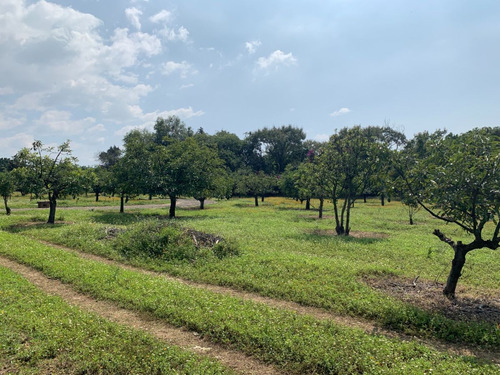 Rancho En Venta En Xochitlán Morelos