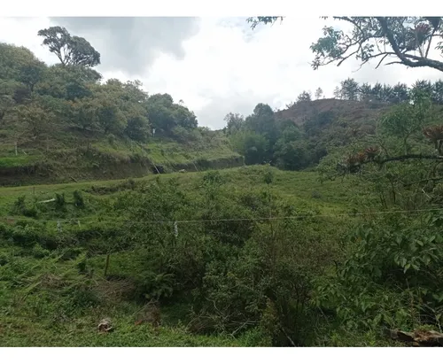 Lote En Venta Proyecto De Parcelación En El Retiro, Vía Pantanillo
