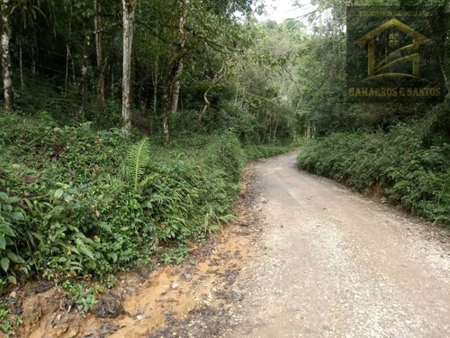Imagem 1 de 14 de Chácara Com 10.000 M² Em Quatro Barras - Te00020 - 32463315
