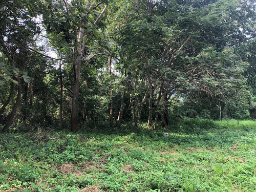 Terreno En Venta En Don Ventura
