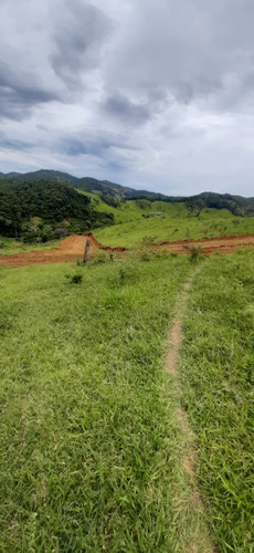Imagem 9 de 9 de Terrenos/lotes Em Santa Isabel Com Otima Topografia.