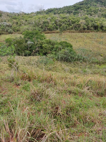 Imagem 8 de 14 de Im41- Lote Para Chacara Parcelado