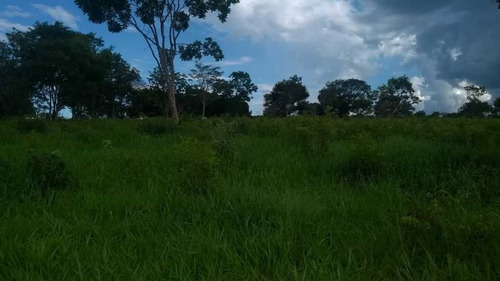 Imagem 11 de 30 de Fazenda De Gado E Graõ Com 455 Hectares Curvelo - 36426