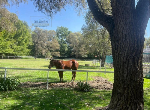 Rancho Privilegiado Con 2 Pozos Y Bella Ecología. 10 Caballerizas, Potreros, Lago, Invernaderos, Cancha De Frontón, Instalaciones Diversas Para Animales. Y Casa Campestre Con 3 Recámaras.
