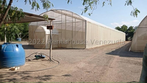 Imagen 7 de 30 de Fina En Venta Quibor Estado Lara, 04245937542