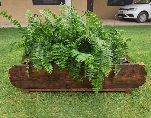 Imagen 2 de 7 de Maceta De Madera Tipo Jardinera De Oreja Color Roble