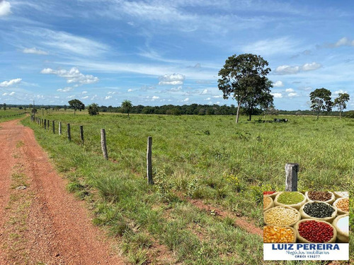 Imagem 10 de 13 de Fazenda A Venda Em Divinópolis - To - De 538 Alqueirões (dupla Aptidão) - 1667