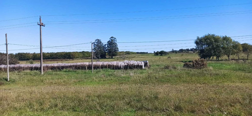 Venta Sauce Ruta 6 Km 44 , 8 Hectáreas, Tajamar