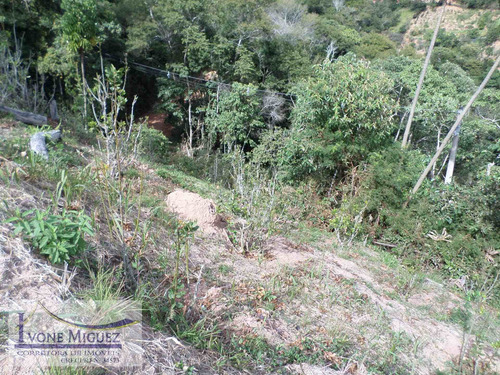 Imagem 8 de 15 de Terreno Em Palmares - Paty Do Alferes - 2014