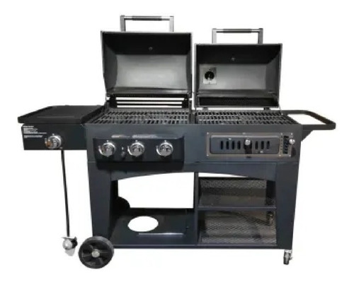 Asador Hibrido Gas Y Carbón Acero Inoxidable, Members M Msi