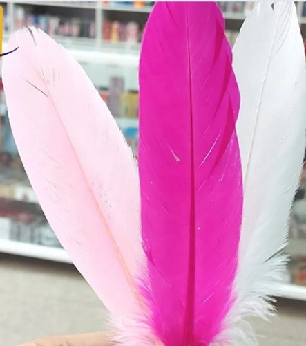 Imagen 3 de 5 de Plumas De Colores